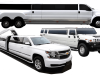 Large Limousine Charters and Rentals
