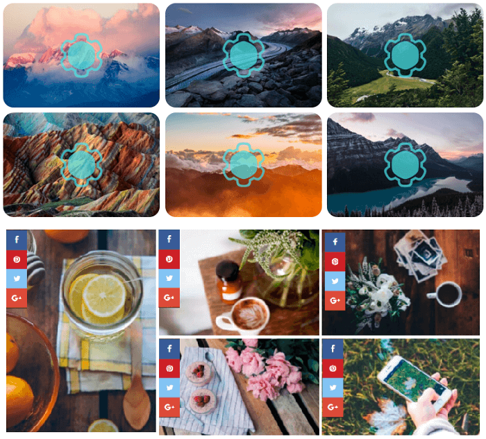 Use the Photo Gallery Plugin by Supsystic | Supsystic