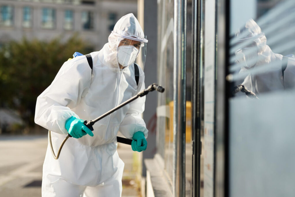 Pest Control in Edmonton