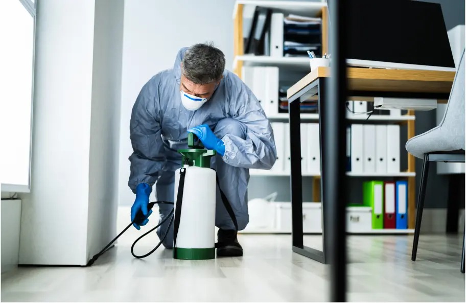 Why Pest Control Company in Edmonton Matters Before Buying a Home